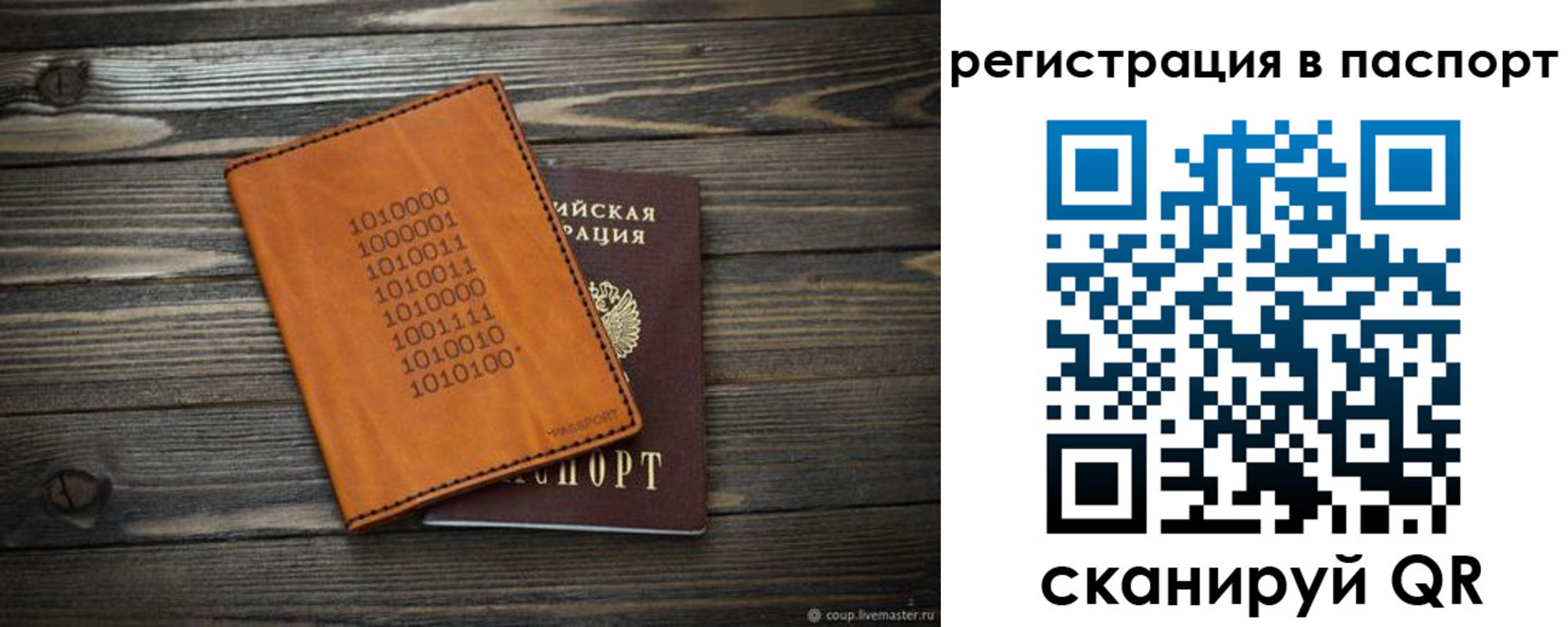 прописка для школы в Ершове